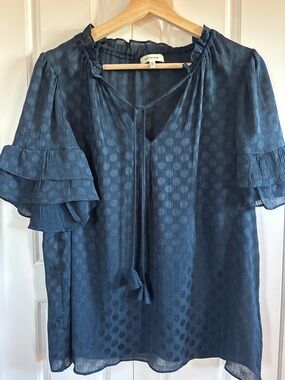 Max studio sheer top